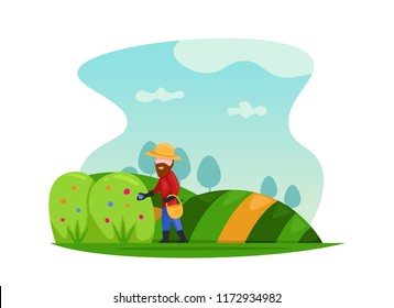 Flat farmer harvest fruit farm on the hill field. Farmer flat illustration