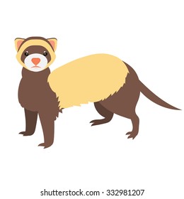 Flat ferret illustration