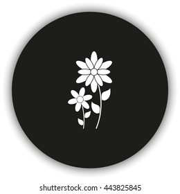 Flat flower icon.