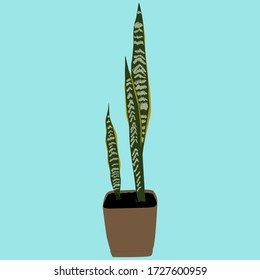 Flat flowerpot isolated vector illustration. Modern cartoon. Graphic element. Floral background. Houseplant backdrop.