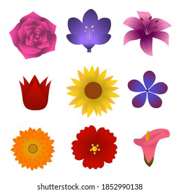 Flat flowers set vector illustration