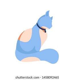 Flat fluffy cat character. Blue kitten sitting in collar, Geometric contemporary pet animal isolated on white
