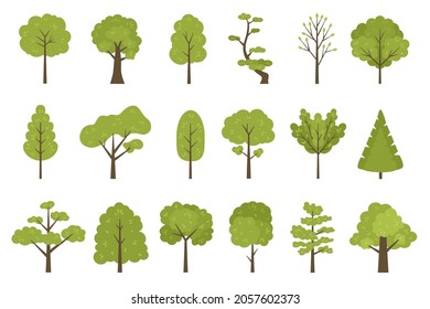 Flat forest trees icons, garden or park landscape elements. Cartoon simple summer tree trunk, leaves and branches. Nature trees vector set. Plants with foliage, organic botanical greenery