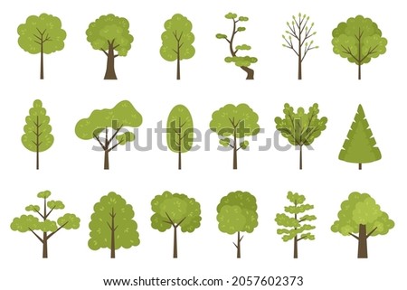 Flat forest trees icons, garden or park landscape elements. Cartoon simple summer tree trunk, leaves and branches. Nature trees vector set. Plants with foliage, organic botanical greenery