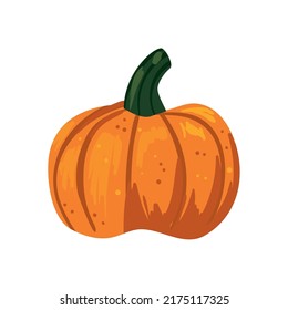 flat fresh pumpkin design over white