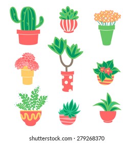 flat fun green, pink and yellow green houseplants in colorful pots