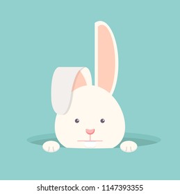 Flat Funny  bunny in hole