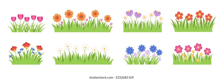 Flat garden flowers in grass, tulip and chamomile blossom. Gardening plants, flower borders or meadow elements. Isolated racy vector collection