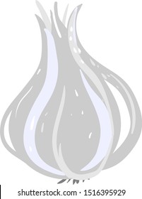 Flat garlic, illustration, vector on white background.