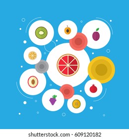 Flat Garnet, Citrus, Nectarine And Other Vector Elements. Set Of Dessert Flat Symbols Also Includes Fruit, Cantaloupe, Melon Objects.