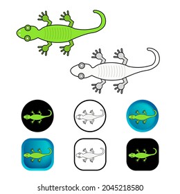 Flat Gecko Reptile Icon Collection