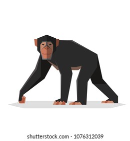 Flat geometric Chimpanzee