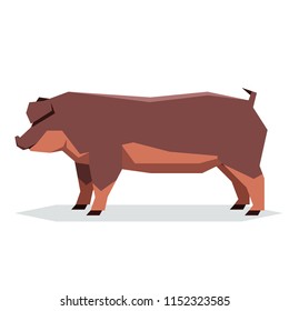Flat geometric Duroc pig