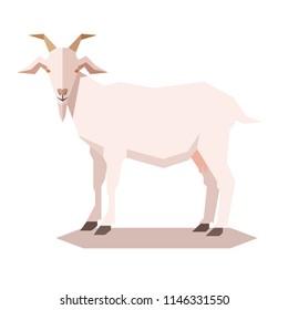 Flat Geometric Goat