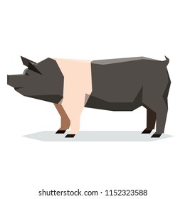 Flat geometric Hampshire pig