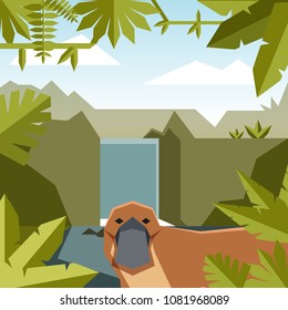 Flat geometric jungle background with Platypus