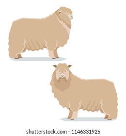 Flat geometric Leicester Long-wool Sheep