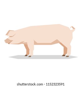 Flat Geometric Yorkshire Pig