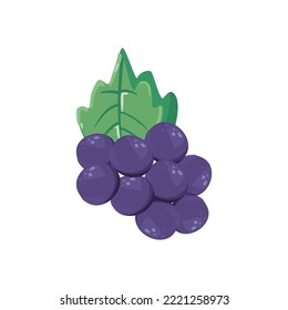 flat grapes design over white