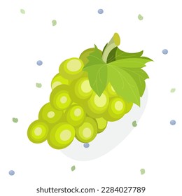 Flat grapes on white background in cartoon style