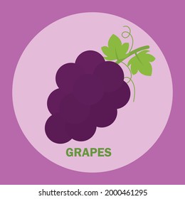 Flat Grapes Vector Png For Icon Logo And Clipart In Purple Cute Cartoon Background For Fruits List Kids Drawing And Coloring Book