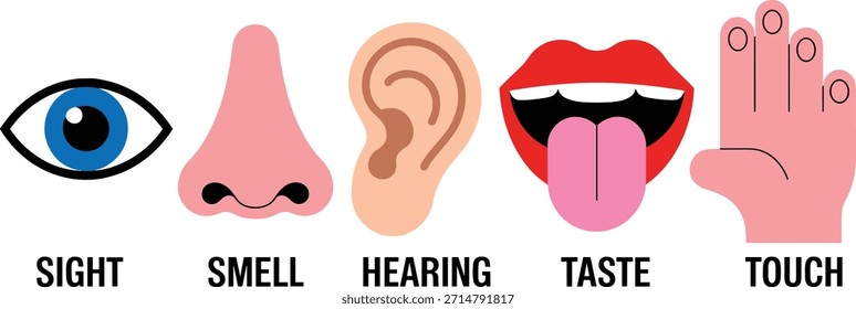 Flat graphic icons representing the five senses sight smell hearing taste touch.