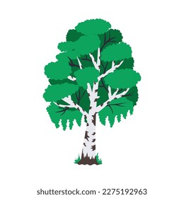 Flat green birch tree on white background vector illustration