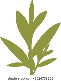 Flat green botanical leaf with clean shape, useful for eco-friendly projects, herbal design elements, or minimal plant-themed compositions.