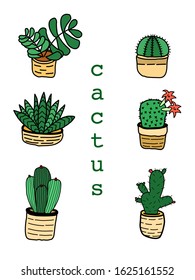 Flat green cactus design icon.