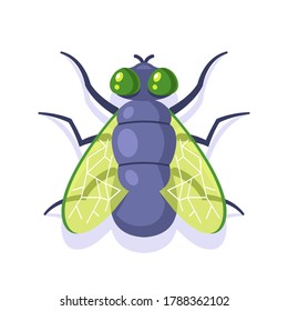 flat green fly on a white background. insect flat vector illustration.