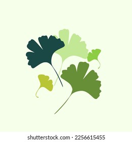  Flat green ginkgo biloba leaf isolated on white. Cartoon. Nature eco icon. Vector illustration