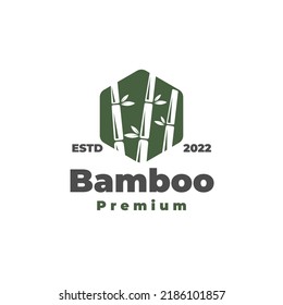 Flat Green Hexagon Bamboo Vector Illustration Logo