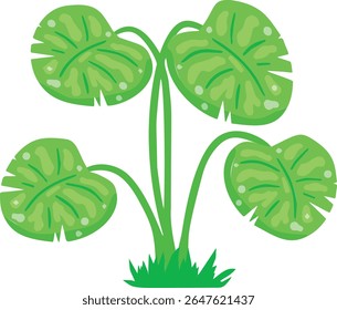 Flat green houseplant illustration. Simple tropical foliage design for home decor.