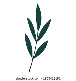 Flat green leaf icon. Natural leaf design element for postcards, posters, greetings. Isolated on a white background. Doodle vector illustration.
