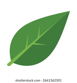 A flat, green leaf illustration with a stem and veins, isolated on a white background. The leaf is a simple, stylized design.