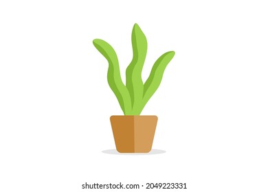 flat green plant in pot vector illustration