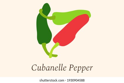 Flat green and red Cubanelle peppers vector illustration EPS10.