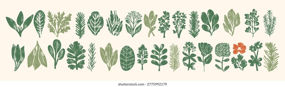 Flat green silhouette set of herbs, leaves and botanical plants in linocut style — minimal organic illustration collection for eco design, cooking or cottagecore aesthetic