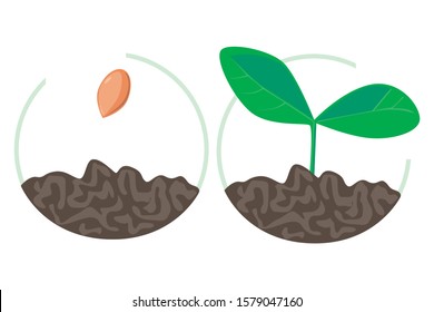 Flat green sprout with cotyledon leaves in a handful of earth and a farm seed. A agricultural vector stock illustration isolated on white background as a concept of personal growth and motivation.