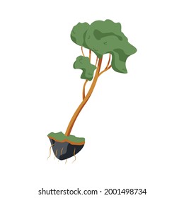 Flat green tree seedling on white background vector illustration