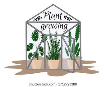 flat greenhouse with tropical plants. Glasshouse with text «plant growing». Plants growing in pots or planters in botanical garden. coconut and banana palm, monstera