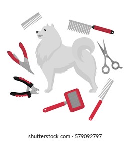 Flat grooming salon equipment set, dog haircut tools icons. Doggy groomer collection, nail clipper, cutter, Slicker and brush, comb, scissors and dematters. Samoyed puppy.