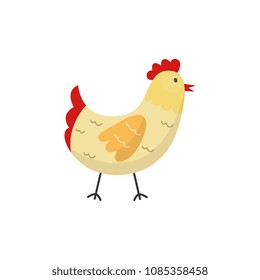 flat hand drawn chicken, white rooster, cock with red crest. Isolated vector illustration on a white background. Farm poultry object for advertising, poster design.