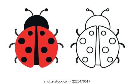 Flat hand drawn ladybug cartoon insect collection isolated on white background for childrens animal coloring book