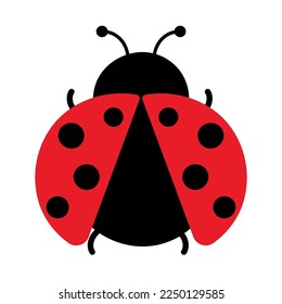 Colección de insectos de tira dibujada a mano plana aislada en fondo blanco para niños parque de libros de animales, jardín