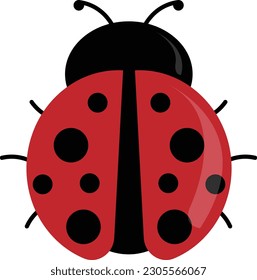 Fondo de la colección de insectos de tira dibujada a mano, libro de animales para niños vektor, decoración de habitación infantil 3D