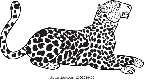 Flat hand drawn leopard or cheetah vector, Leopard black and white, leopard illustration.