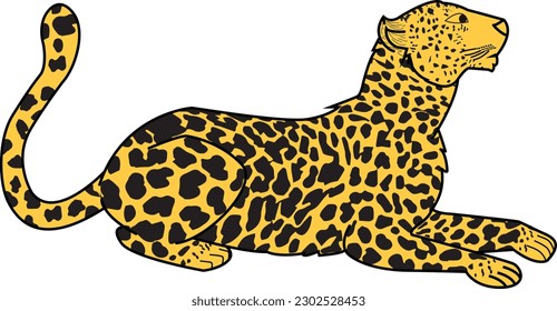 Flat hand drawn leopard or cheetah vector, leopard illustration.