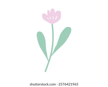 flat hand drawn wildflower vector illustration on transparent background