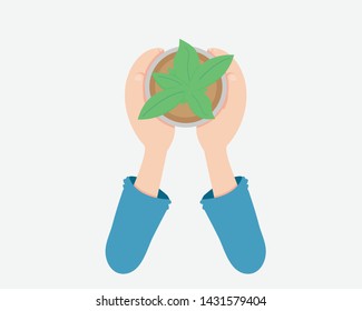 Flat Hand are Holding a Growing Seedling.
Save the world.